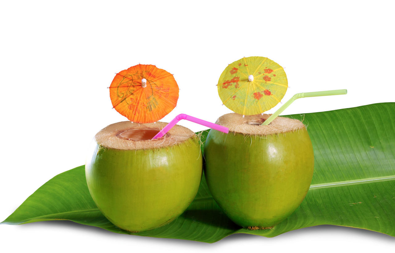 nalewka kokosowa-wpływ na organizm