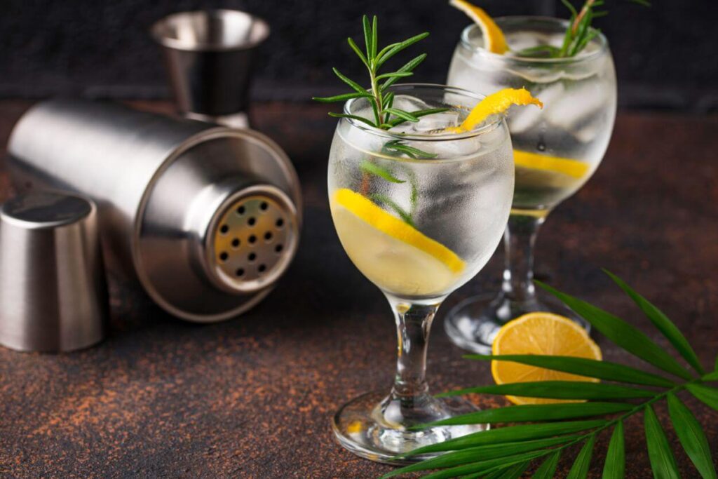 Jak pić gin z tonikiem? 