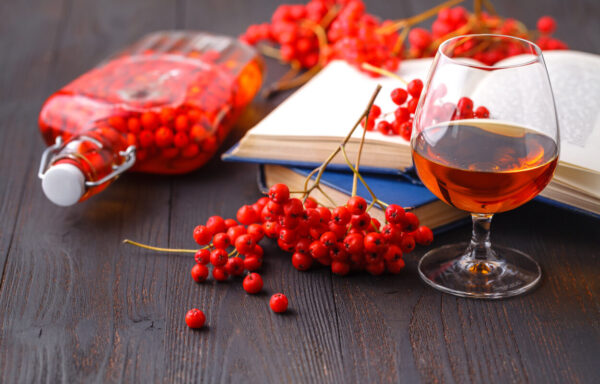 Jarzębiak przepis na zdrową i pyszną jesień! • Moje Drinki
