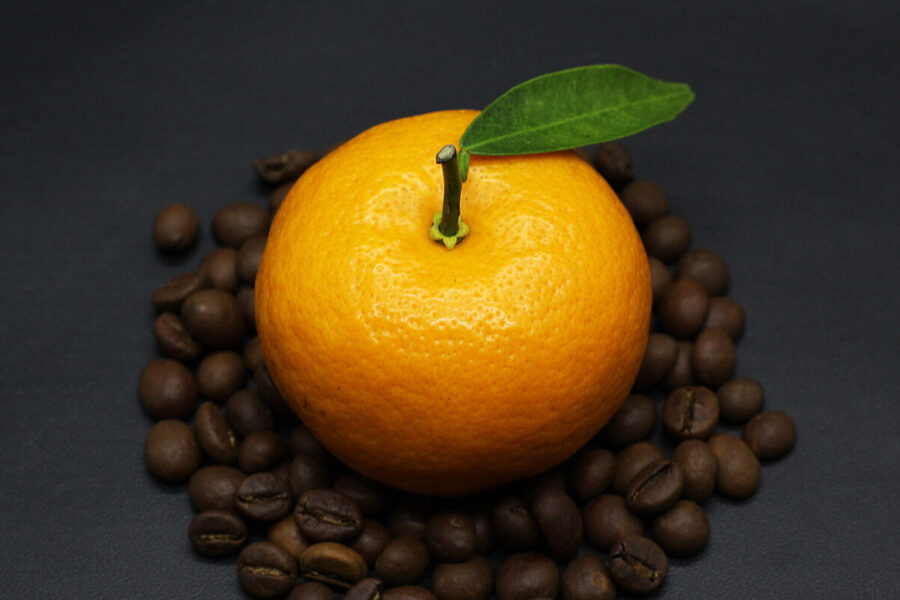 nalewka z pomarańczy i kawy