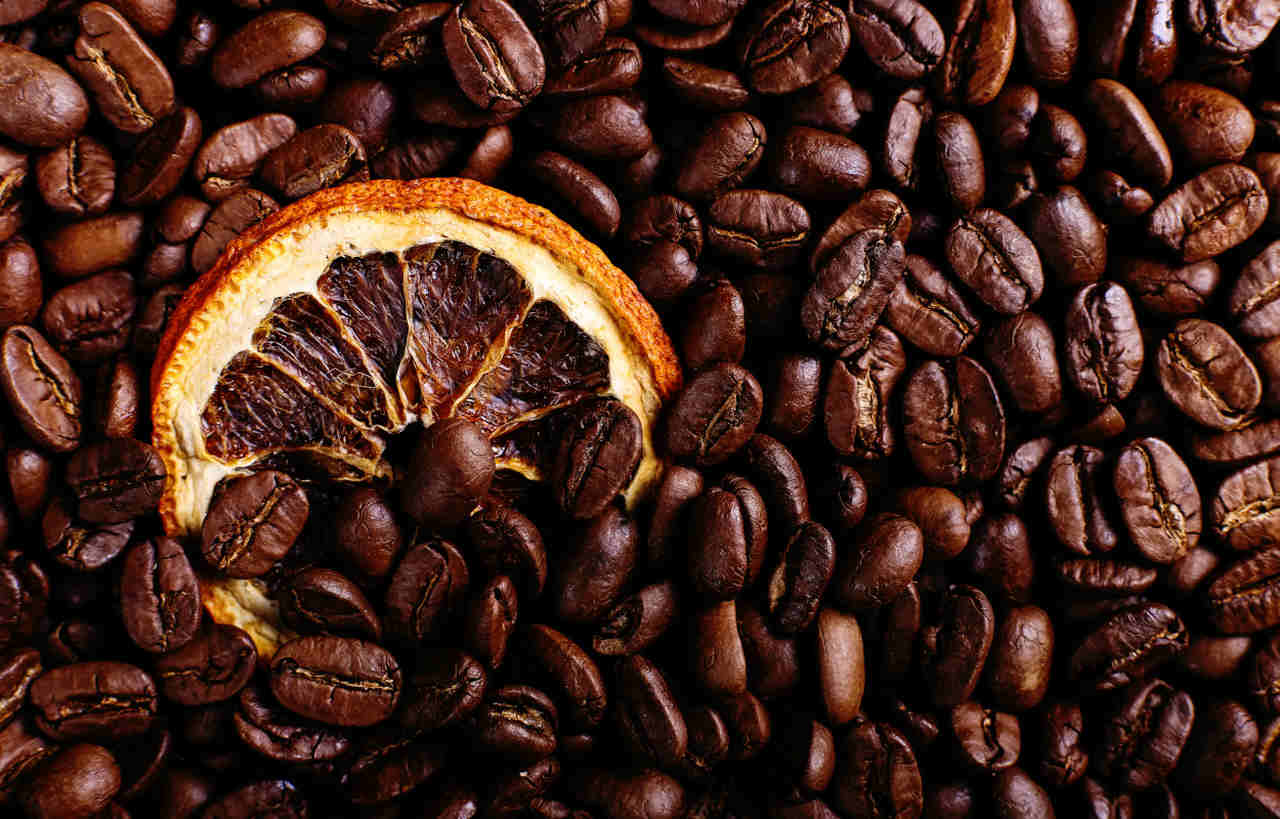 nalewka z pomarańczy i kawy-podstawowy przepis