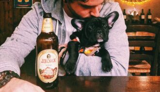 czy pies może pić piwo