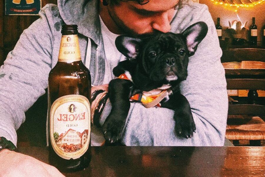 czy pies może pić piwo